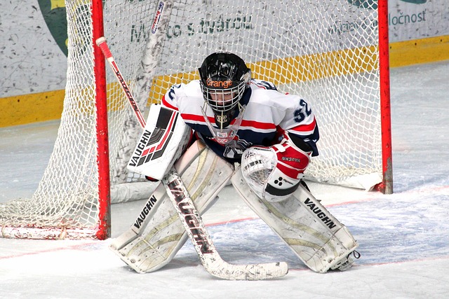 展示了出色 展示了出色